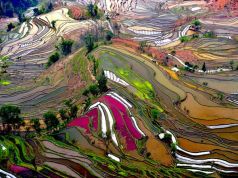 cliffsterraced-rice-field-china_21087_600x450